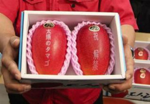 日本太阳白癜风，芒果白癜风